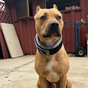 Meet your Posher, Ignacio